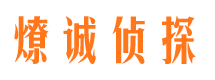 和平区侦探社